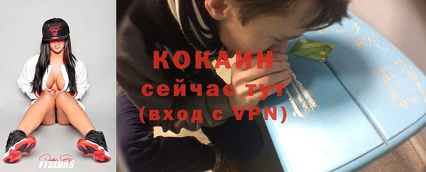 молекула духа Арсеньев